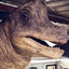 Socially awkward brachiosaurus