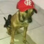 Sem Freio