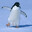 LazyPenguin