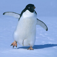 LazyPenguin