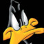 Daffy &lt;3