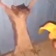 i'm not ur friend