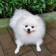 水乡泽国第一工程兵