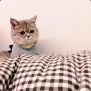 ʚ智齿少女悦悦酱ɞ