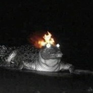 Florida Man