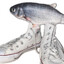 fish with converse
