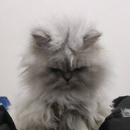 撸老板