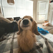 Keepitdeepwithinyoursoul