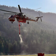 weiner boy - steam id 76561198355045554