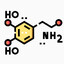 Dopamine (+)
