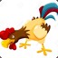 Rooster