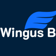 Wingus Beats