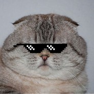 CATSPECTACLES - steam id 76561197964655030