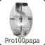 pro100papa