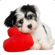 Cclive