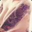CandY丶SharK _ Cui.