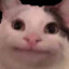 gosu
