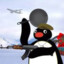 Pingu Putero