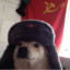 communist k9!