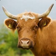 MooMooCow - steam id 76561197963906815
