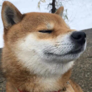 导完就能忘掉她吗