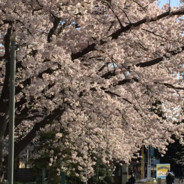 ради неё(prime)