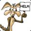 Wile-E Coyote