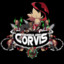 Corvis