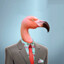 Mrflamingo