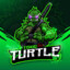 Toxic Turtle