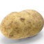 Potato