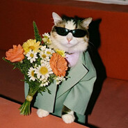 Sokol - steam id 76561199785675247