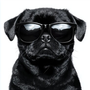 мопс мопсик