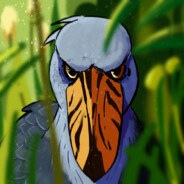 Shoebill Stork