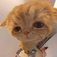 sanity - steam id 76561199563326382