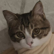 让我看看！！！