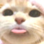 joeyce