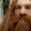 Gimli son of Gloin