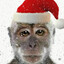 besc's avatar