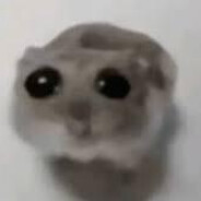 VailaXdd | ツ🗿⃤⃢🍷ツ