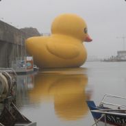 yikes! - steam id 76561197964453304