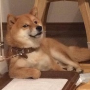 元气少女郭德纲