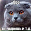 бро ты умрёшь и т.д. Avatar of player бро ты умрёшь и т.д.