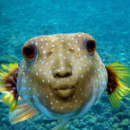 ХламидаНинада