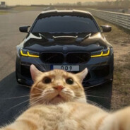 Shax_009 - steam id 76561199810453920