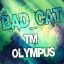 BAD_CAT