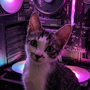 Milo ≽^•⩊•^≼