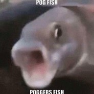 pogfish