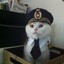 Commander Cat on Mission
