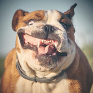 ฝันร้าย ツ